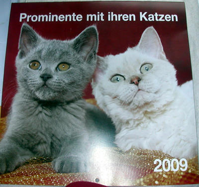 katzenkalender.jpg