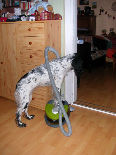 staubsaugerfeli02.jpg